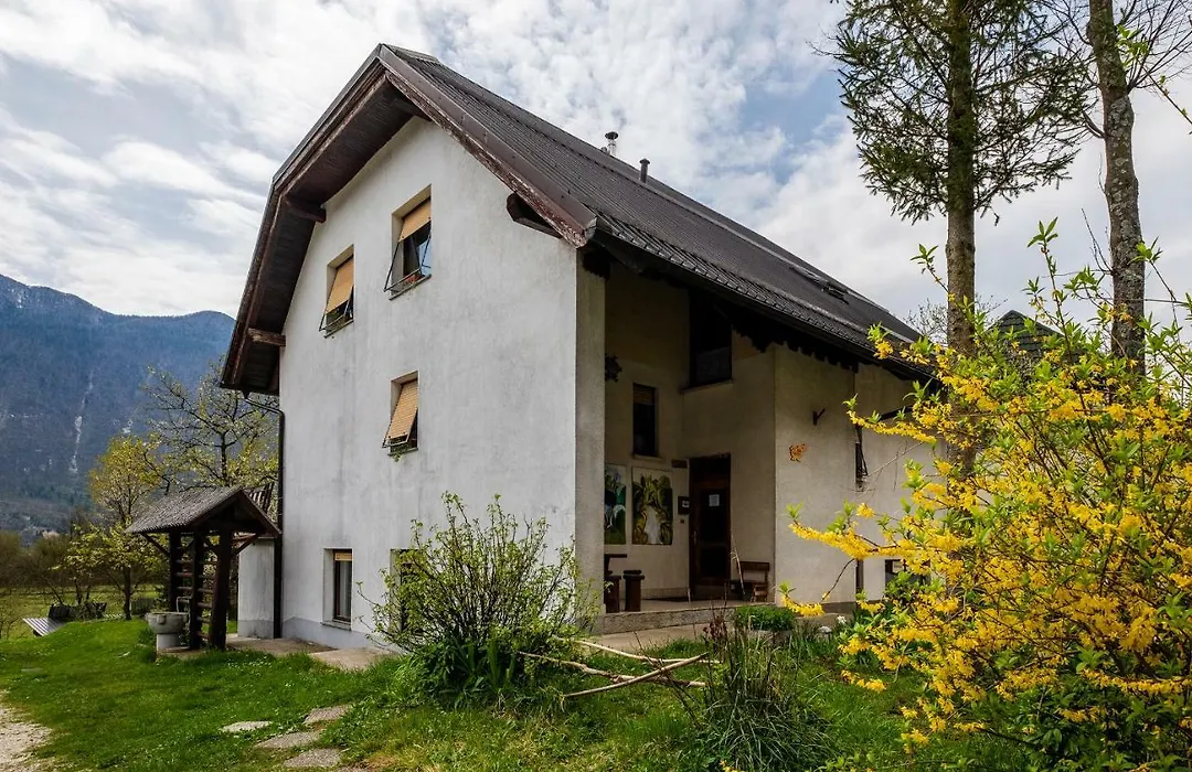Bovec Holiday House-1