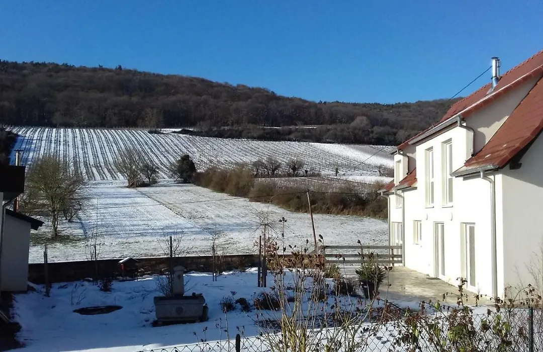 Aux Vignes-1