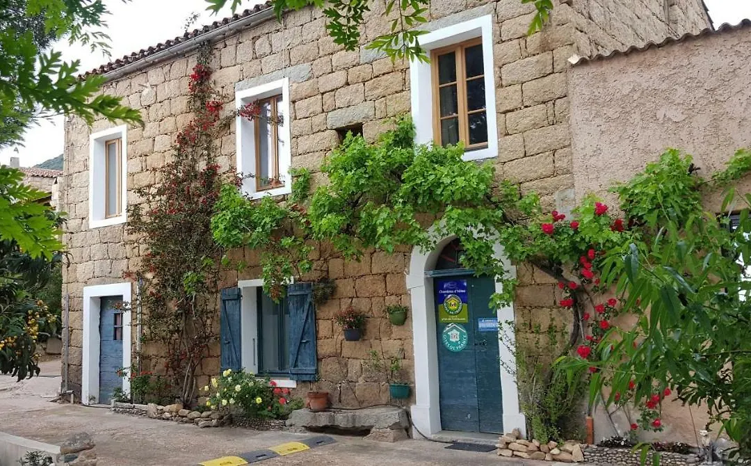 L'Orca Di San Gavinu-1