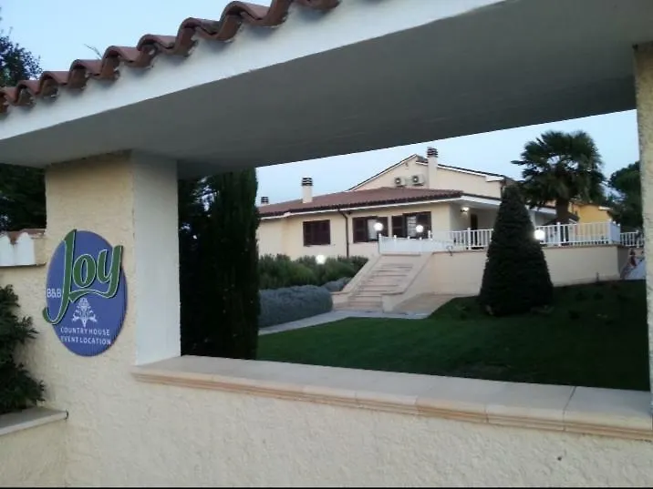B&B Joy-1