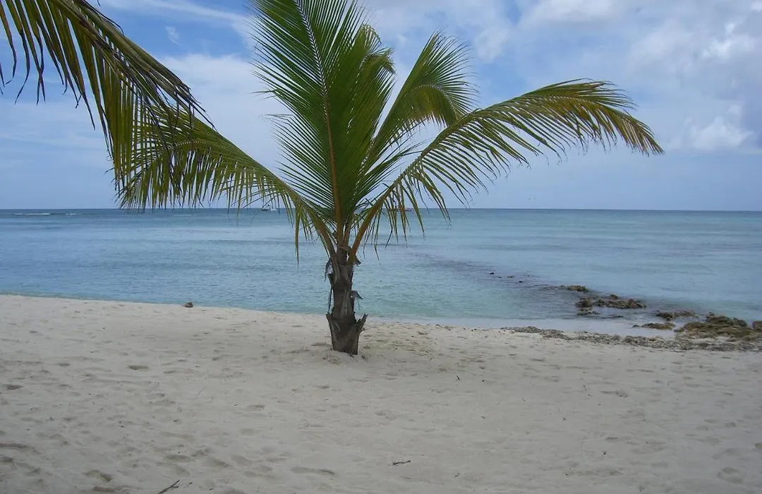 Hotel Bayahibe-1