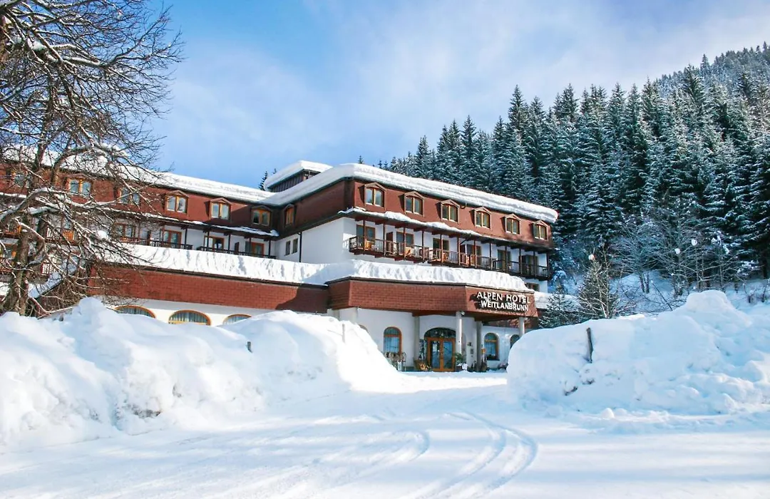 Alpenhotel Weitlanbrunn-1