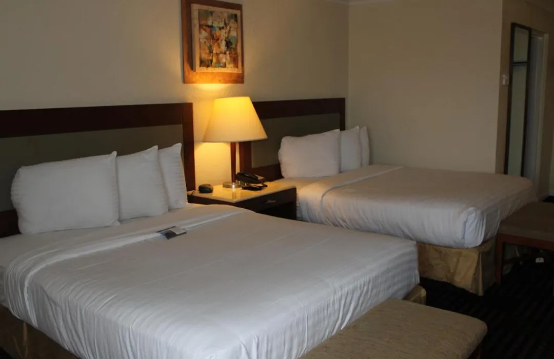 Lexington Inn & Suites-Elgin-1