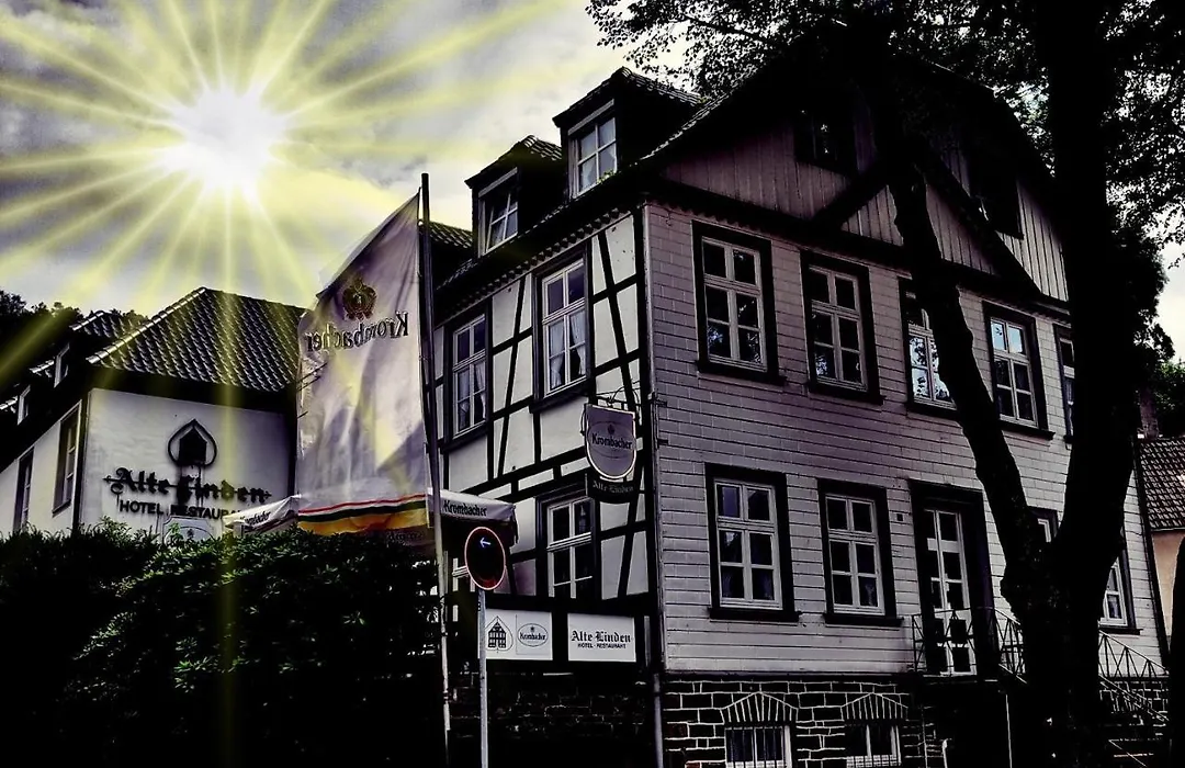 Hotel Alte Linden-1