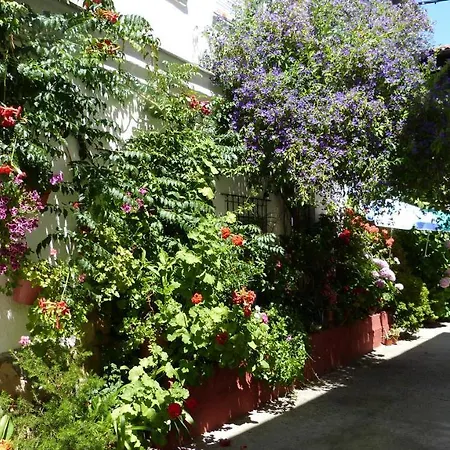 Hostal Candeleda-3