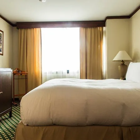 The Hotel-2