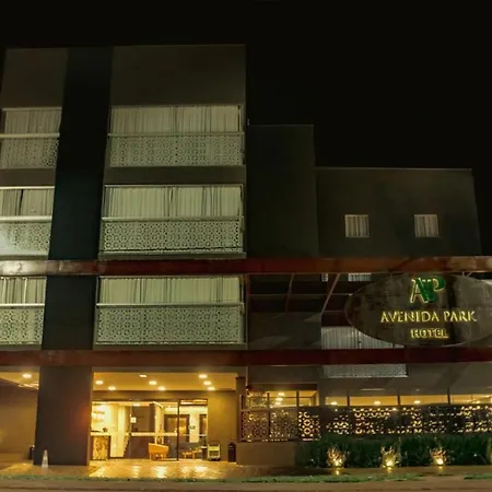 Avenida Park Hotel - Iturama-3