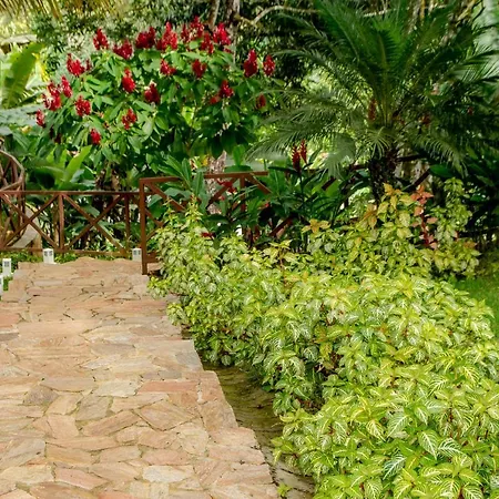 Hotel Cantinho Das Flores-2