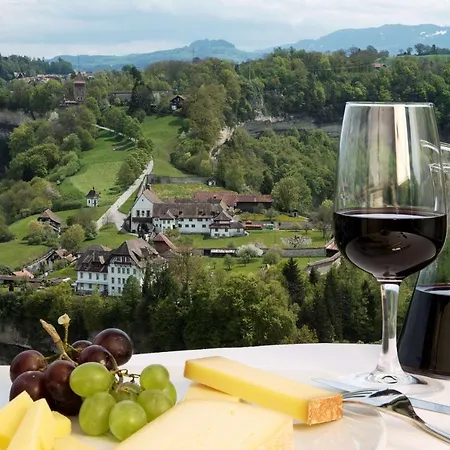 Nh Fribourg Hotel-2