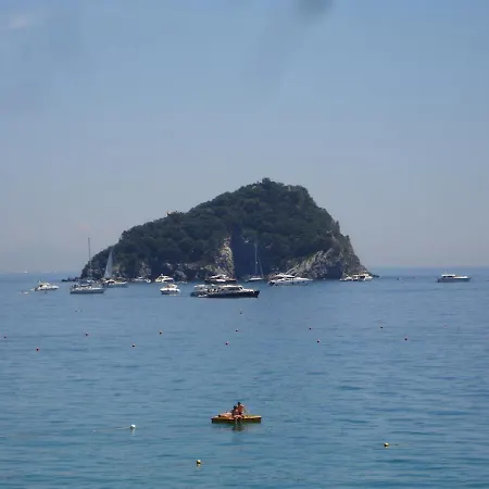 Hotel Mimosa-3