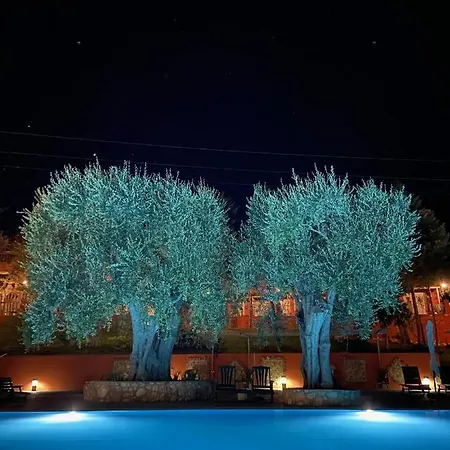 Hotel Resort Poggio degli Ulivi-2