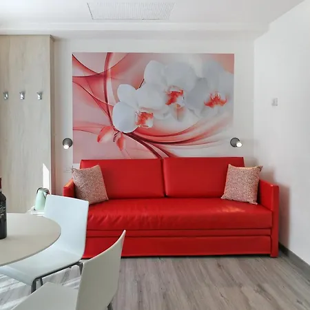 Hotel Orchidea-3