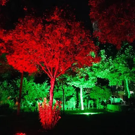 Park Star Hotel-2