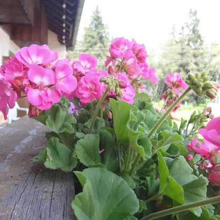 Beim Haxenwirt-3