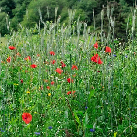 The Conscious Farmer Bed And Breakfast Sauerland-2