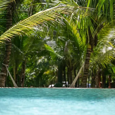 Hotel Buenavista Bacalar Jungle Experience-2