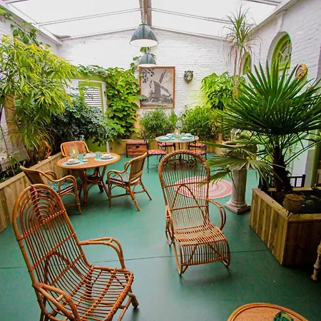 Jardin D'Hiver Cassel-3