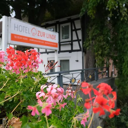 Hotel Zur Linde-2