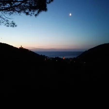 Bella Luminella-2