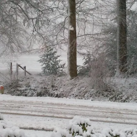 Anna's B&B Rijssen-2