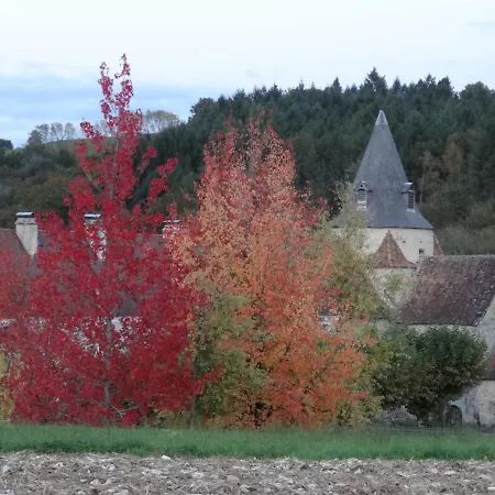 Cote Cour-2