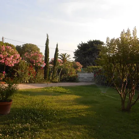 Chez Mamouska-3