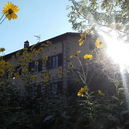 Fattoria La Guedrara-3
