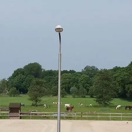 B&B Manege Groenewoude-2