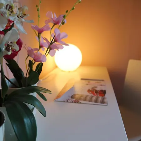 B&B Rosa-3