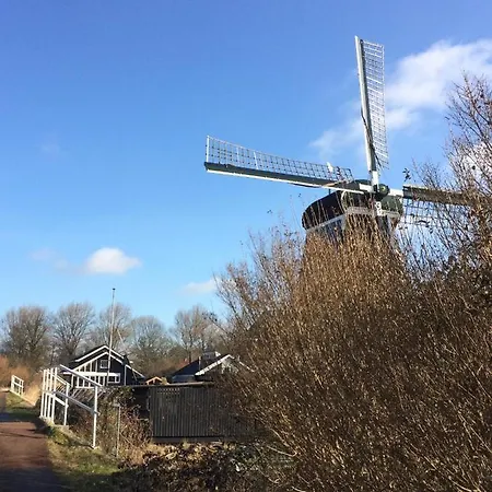 Haarlem 49-3