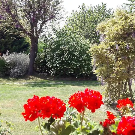 Villa Fabbri-2