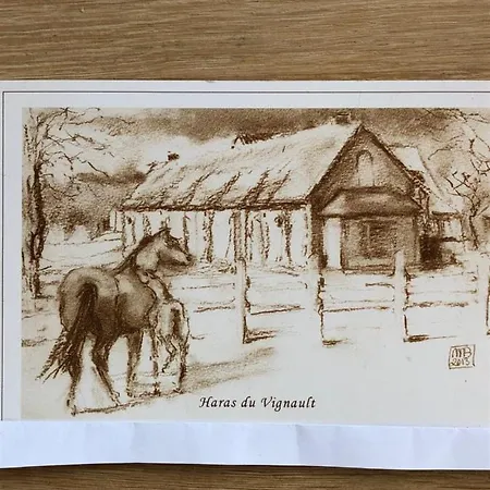 haras du Vignault Le Bûcher-2