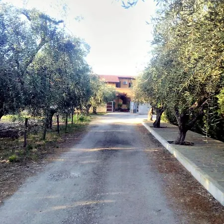 La casetta-3