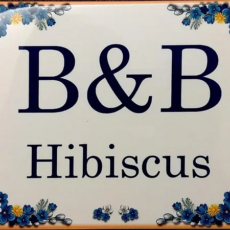 B&B Hibiscus-2