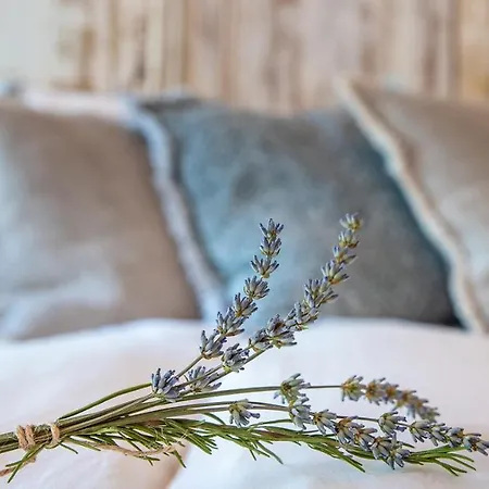 Laareind Bed & Breakfast-3