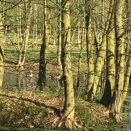 B&B Landgoed Bergerven-3