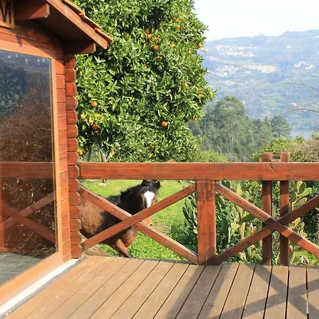 Quinta Das Quintas & Spa-2
