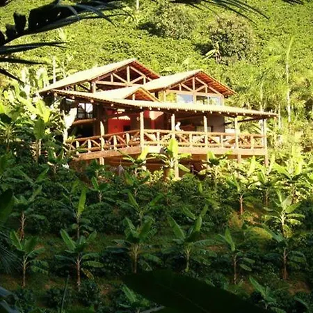 Sitio Recanto Primata-2