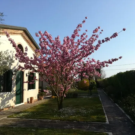 Casa Pianta-3