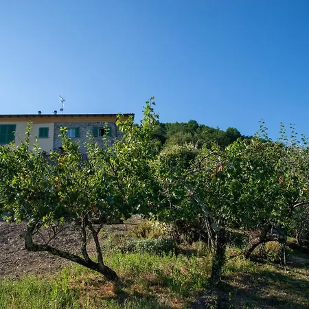 La Beppa - Casa Vacanza-3