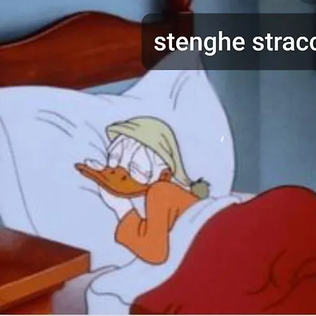 Stenghe Stracche 2-2
