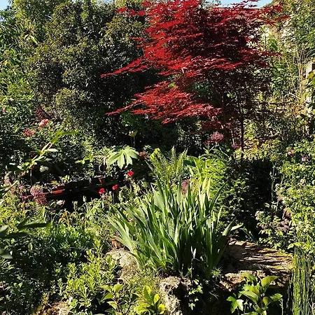 La petite maison du jardin d'Apollon-3