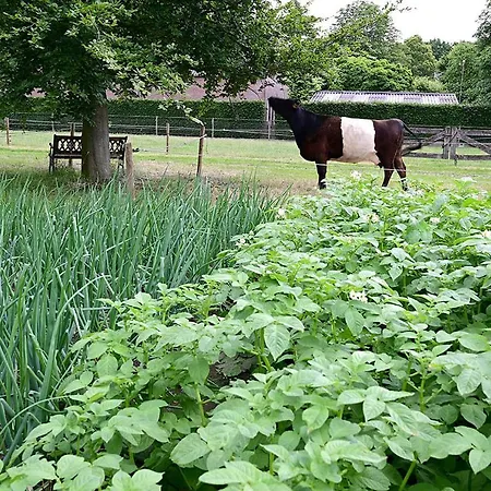 De Lakenvelder B&B Eersel-2