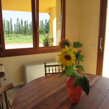 L’ Angolo degli Ortaggi-2