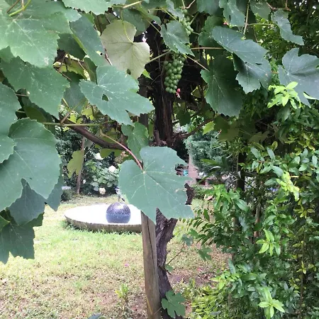 Alla Rotonda dai Santi-2