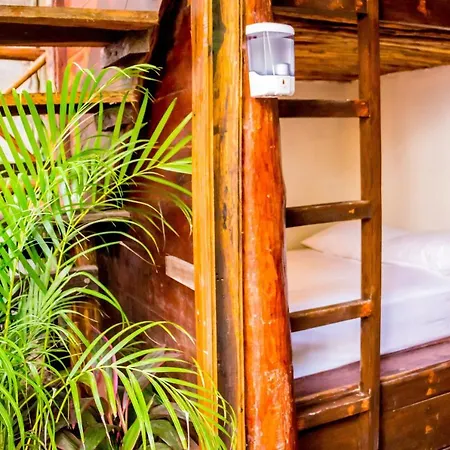 Oostel Smart Hostel - Tulum Playa-2