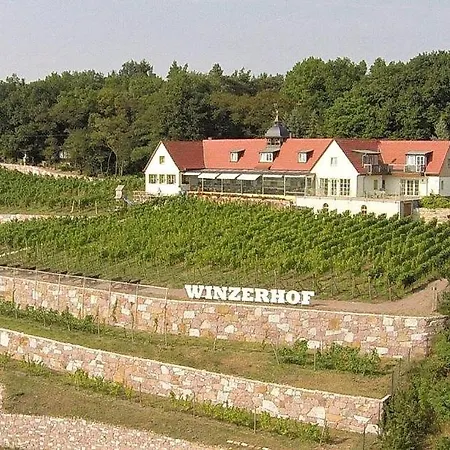 Pension Bella Vista - Winzerhof Golk-3