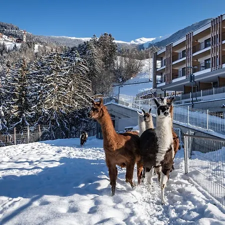 Hotel Torgglerhof-3