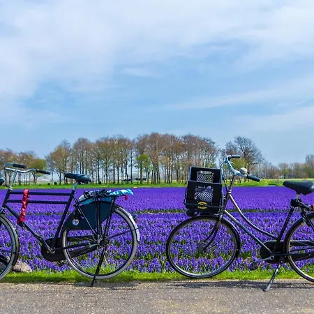 Slapen bij de Buurvrouw-3