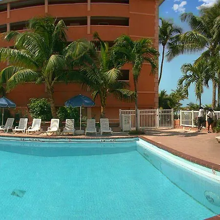 Nassau Palm-2